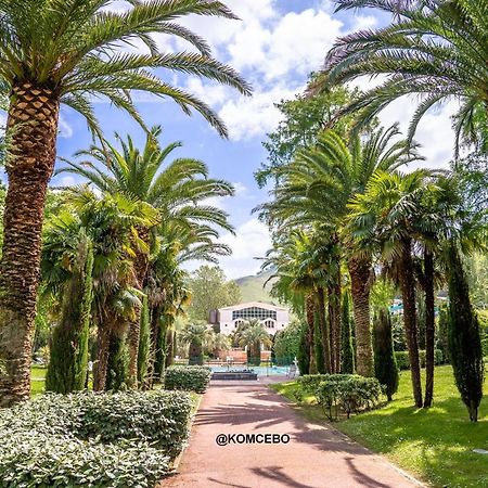 Appartement T1 Bis Avec Jardin Prive Et Piscine, 4 Pers, Cambo-Les-Bains - Fr-1-495-13 Екстер'єр фото