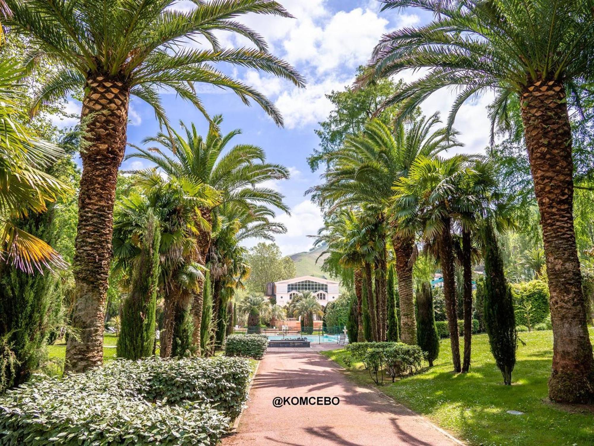Appartement T1 Bis Avec Jardin Prive Et Piscine, 4 Pers, Cambo-Les-Bains - Fr-1-495-13 Екстер'єр фото